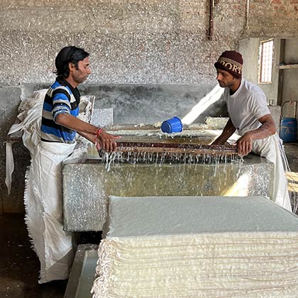 Two men lifting a dripping tray that is holding newly made handmade paper.