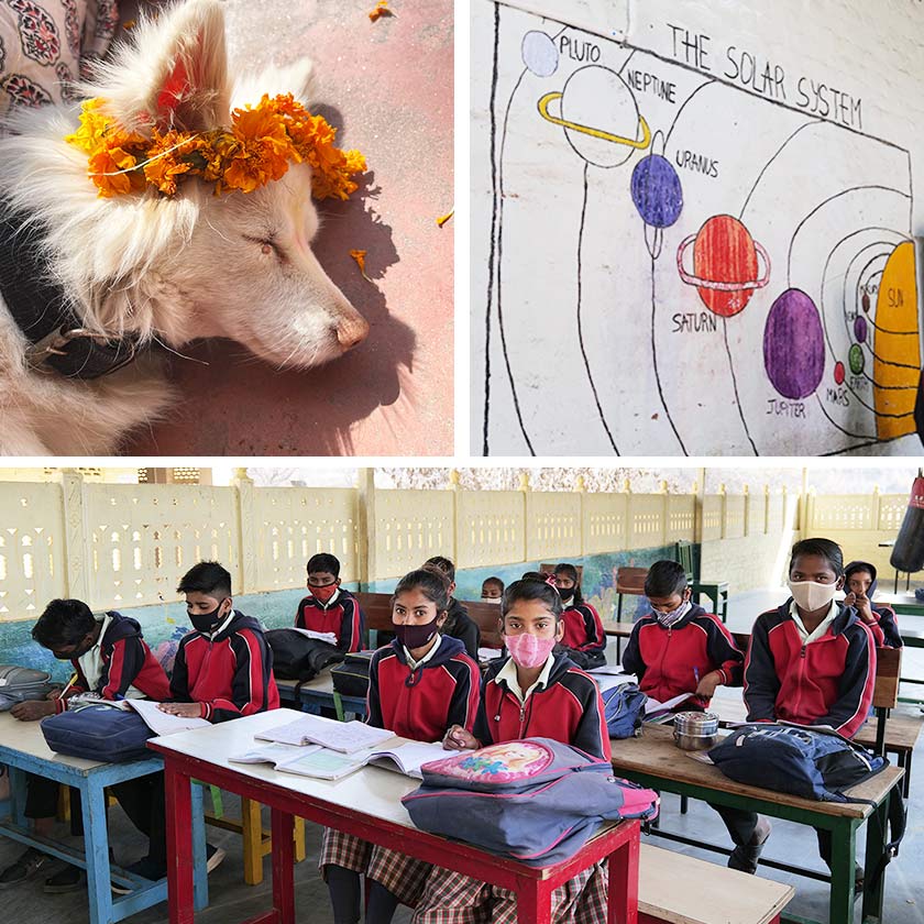 Dog wearing a flower tiara and children in a classroom at the Anoothi co-operative.