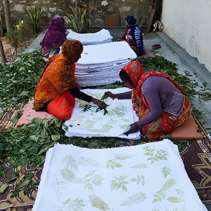 Four ladies wearing saris and removing dried leaves from handmade paper.
